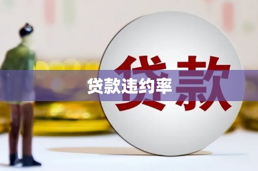 陆川贷款违约率