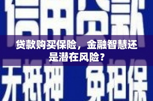 陆川贷款购买保险，金融智慧还是潜在风险？