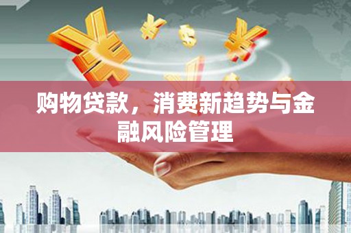 陆川购物贷款，消费新趋势与金融风险管理