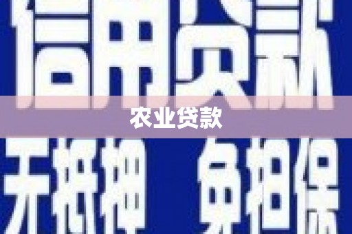 陆川农业贷款