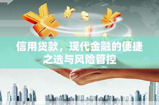 陆川信用贷款，现代金融的便捷之选与风险管控