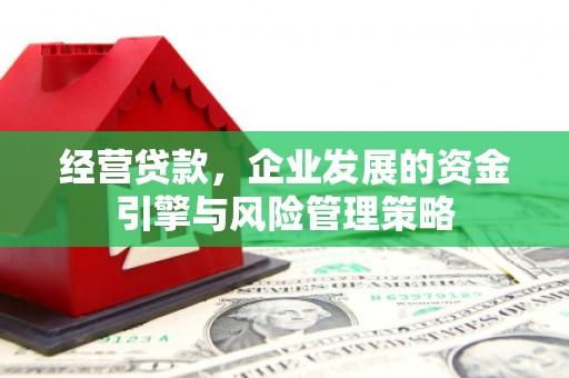 陆川经营贷款，企业发展的资金引擎与风险管理策略