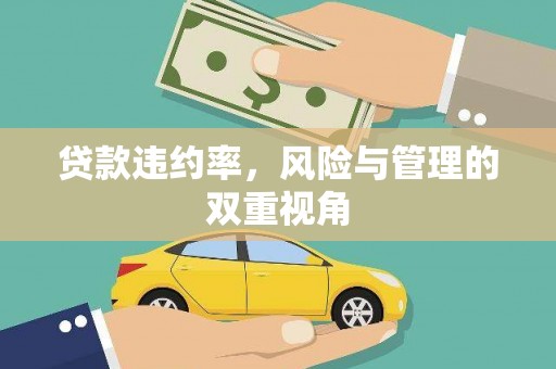 陆川贷款违约率，风险与管理的双重视角
