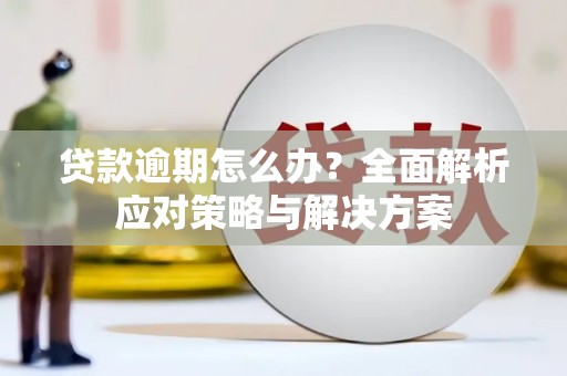 陆川贷款逾期怎么办？全面解析应对策略与解决方案