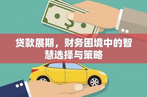 陆川贷款展期，财务困境中的智慧选择与策略