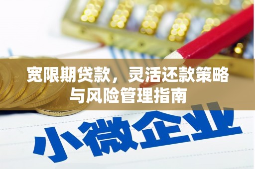 陆川宽限期贷款，灵活还款策略与风险管理指南