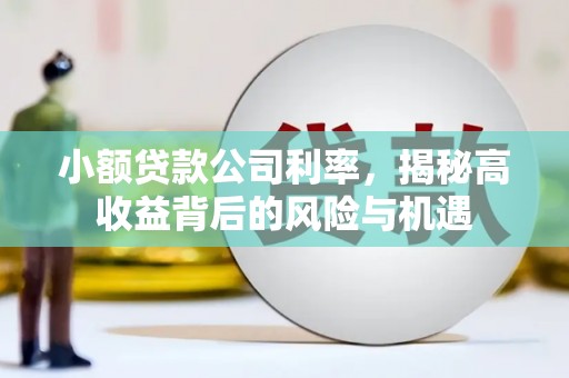 陆川小额贷款公司利率，揭秘高收益背后的风险与机遇