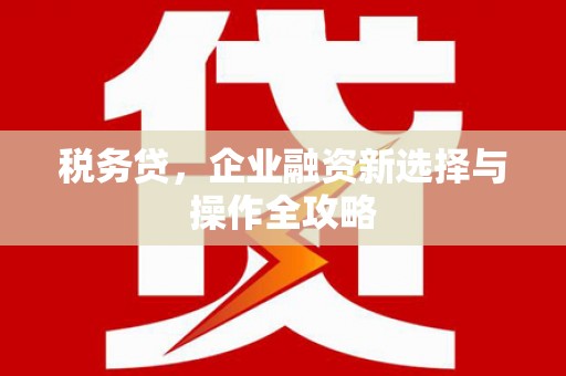 陆川税务贷，企业融资新选择与操作全攻略
