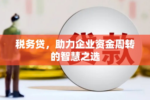 陆川税务贷，助力企业资金周转的智慧之选