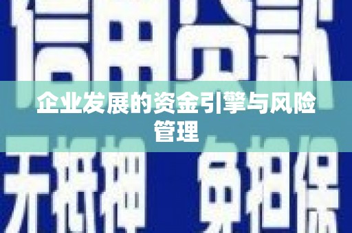 陆川企业发展的资金引擎与风险管理