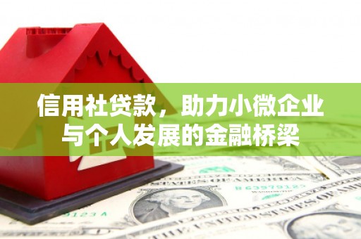 陆川信用社贷款，助力小微企业与个人发展的金融桥梁