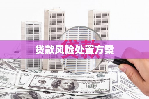 陆川贷款风险处置方案