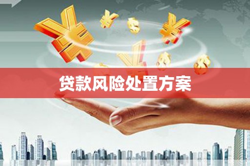 陆川贷款风险处置方案