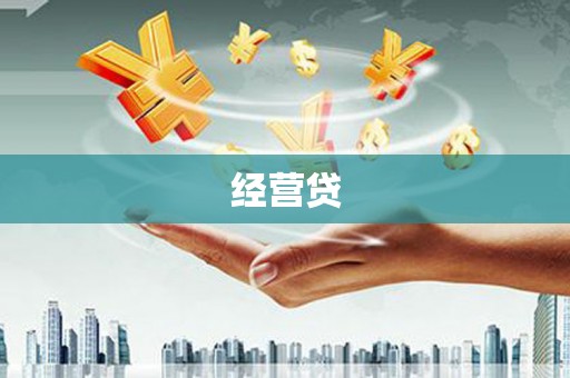 陆川经营贷