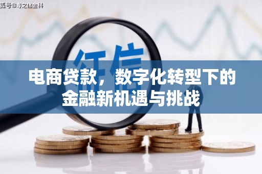 陆川电商贷款，数字化转型下的金融新机遇与挑战