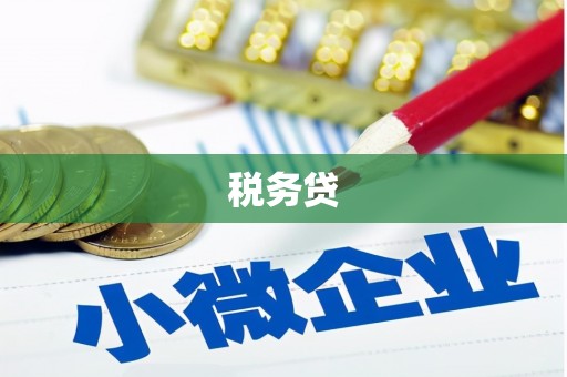 陆川税务贷