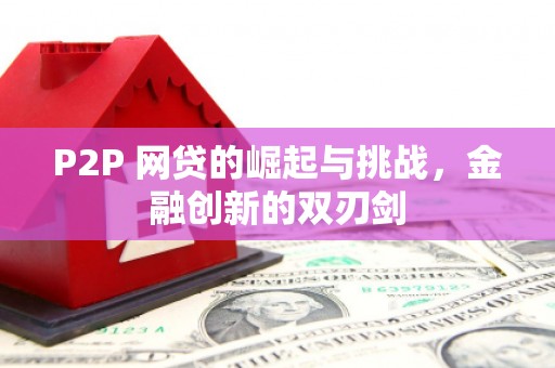 陆川P2P 网贷的崛起与挑战，金融创新的双刃剑