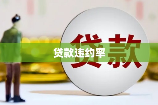 陆川贷款违约率