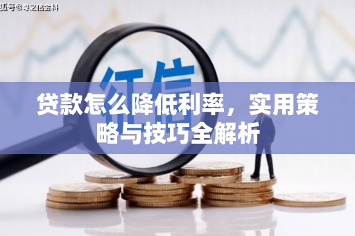 陆川贷款怎么降低利率，实用策略与技巧全解析