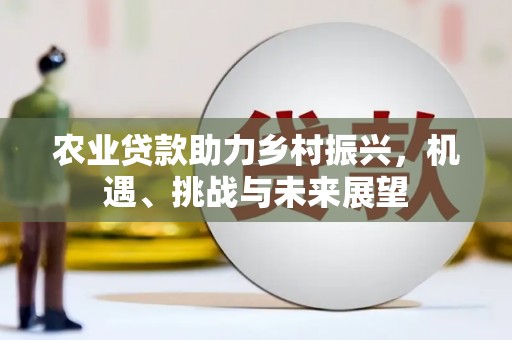 陆川农业贷款助力乡村振兴，机遇、挑战与未来展望