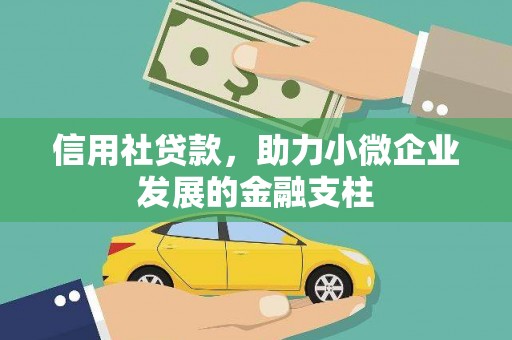陆川信用社贷款，助力小微企业发展的金融支柱