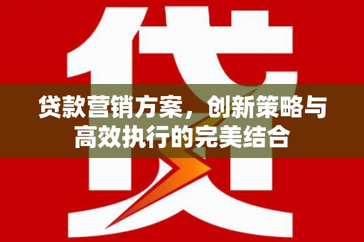 陆川贷款营销方案，创新策略与高效执行的完美结合