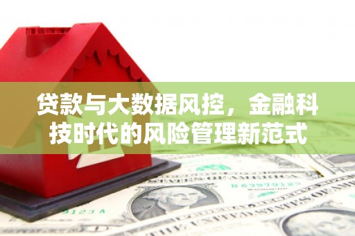 陆川贷款与大数据风控，金融科技时代的风险管理新范式
