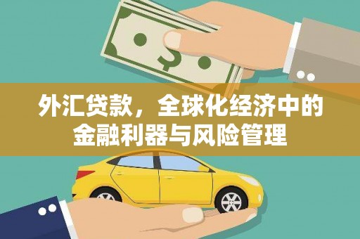 陆川外汇贷款，全球化经济中的金融利器与风险管理