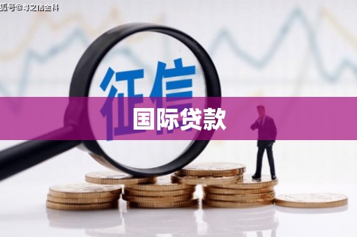 陆川国际贷款