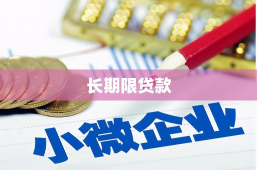 陆川长期限贷款