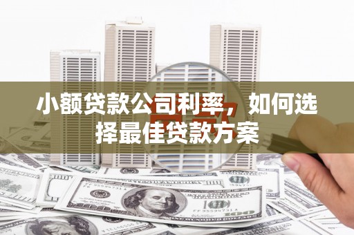 陆川小额贷款公司利率，如何选择最佳贷款方案