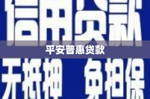 陆川平安普惠贷款