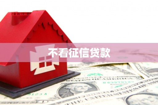 陆川不看征信贷款