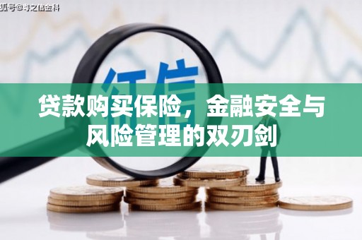 陆川贷款购买保险，金融安全与风险管理的双刃剑