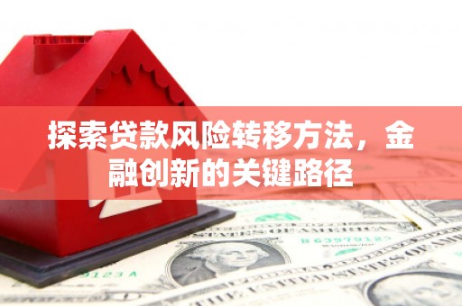 陆川探索贷款风险转移方法，金融创新的关键路径