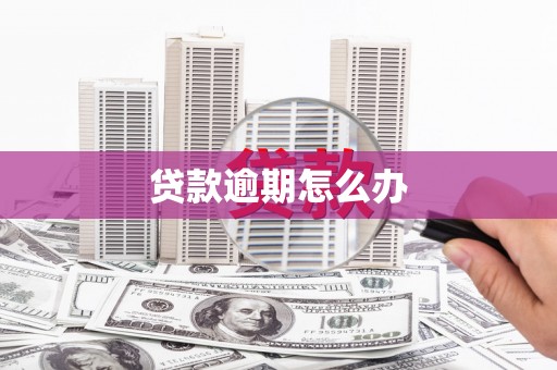 陆川贷款逾期怎么办
