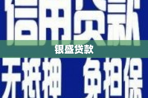 陆川银盛贷款