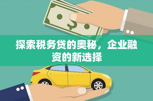 陆川探索税务贷的奥秘，企业融资的新选择