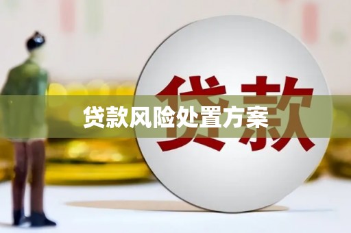 陆川贷款风险处置方案