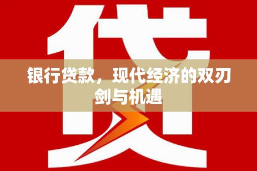 陆川银行贷款，现代经济的双刃剑与机遇