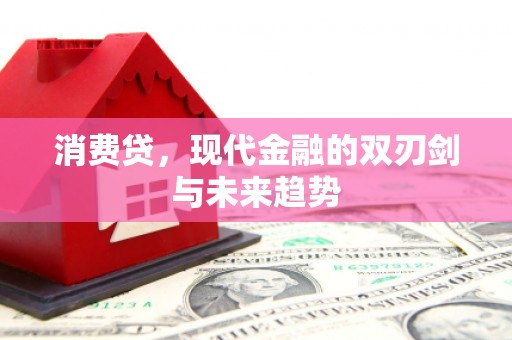 陆川消费贷，现代金融的双刃剑与未来趋势