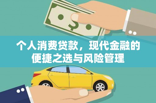 陆川个人消费贷款，现代金融的便捷之选与风险管理