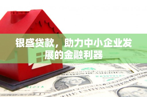 陆川银盛贷款，助力中小企业发展的金融利器