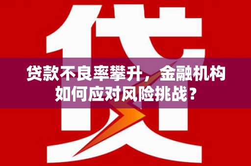 陆川贷款不良率攀升，金融机构如何应对风险挑战？