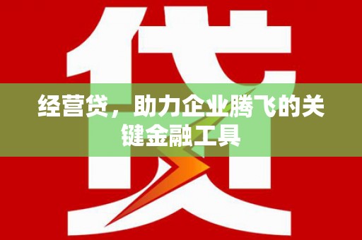 陆川经营贷，助力企业腾飞的关键金融工具