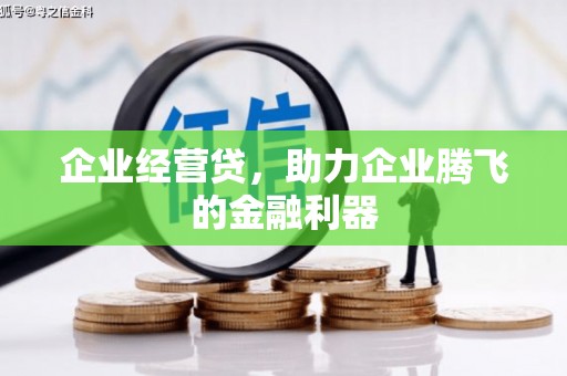 陆川企业经营贷，助力企业腾飞的金融利器