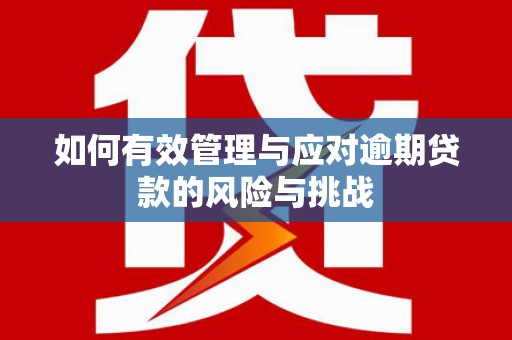 陆川如何有效管理与应对逾期贷款的风险与挑战