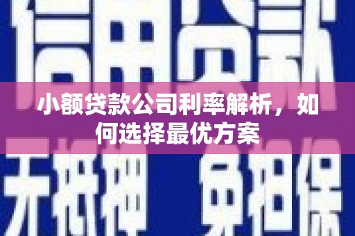 陆川小额贷款公司利率解析，如何选择最优方案