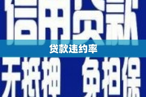 陆川贷款违约率