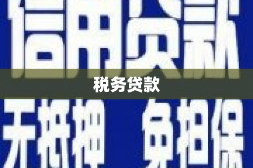 陆川税务贷款